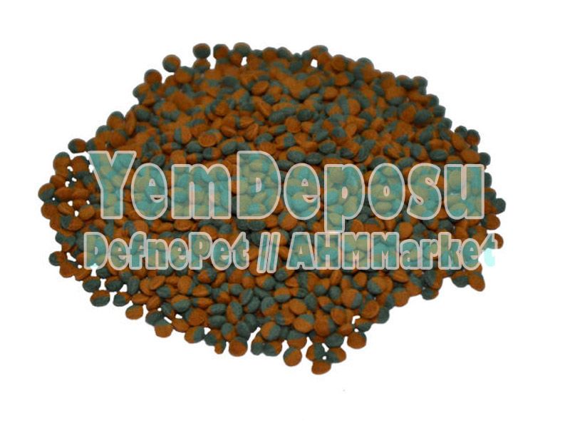 TETRA CİCHLİD ALGEA MİNİ BALIK YEMİ 1 KG