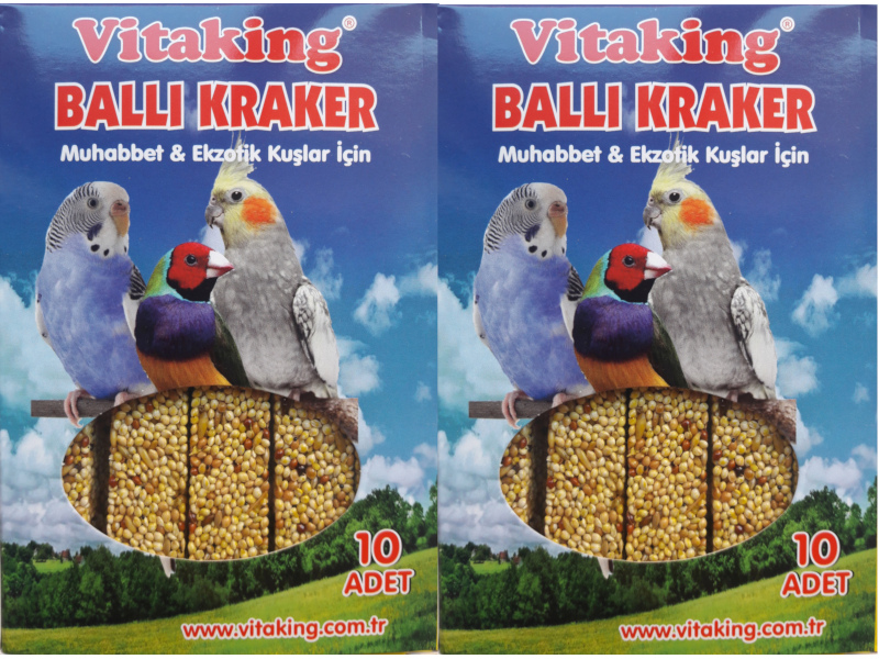 VİTAKİNG BALLI KRAKER 2 X 10 LU PAKET