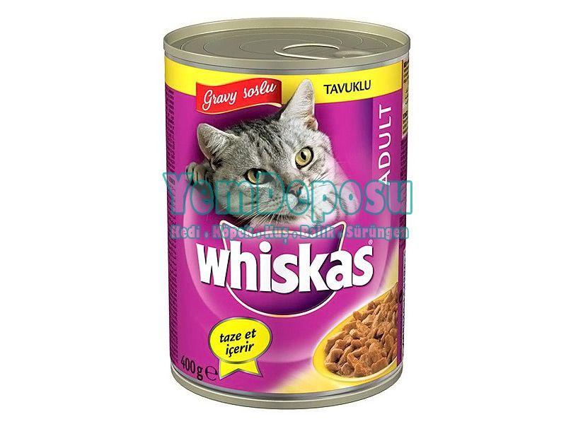 Вискас. Whiskas реклама. Вискас корм. Whiskas 2024. Whiskas 0-3.